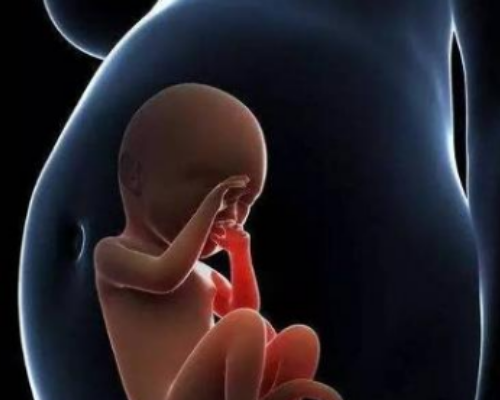 香港验血鉴定宝宝性别,试管婴儿双胎与自然受孕双胎的新生儿一样健康吗？