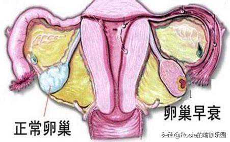 各位宝妈都去香港哪里验血机构,备孕熬夜会很难怀孕吗
