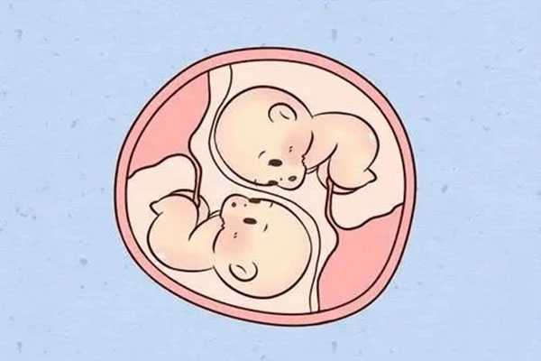 怀孕香港多少天可以验血,试管婴儿双胞胎费用和单胎费用是一样的大概在4000