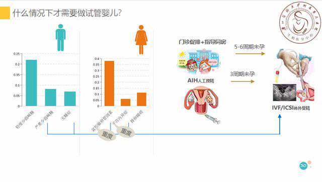 香港验血结果报告怎么看的,成都做试管婴儿价格大概要多少？