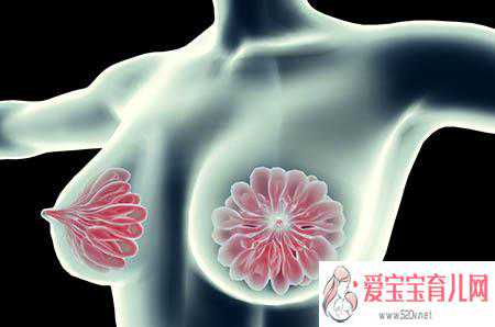 香港验血检验男孩,围绝经期乳房胀痛正常吗