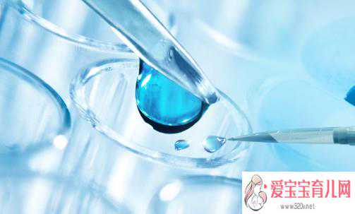 香港验血结果单是什么样的,试管婴儿胚胎移植11天HCG数值应该是多少