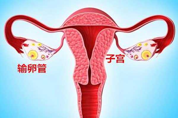 香港7周验血男女费用多少,宫腔积液如何影响辅助生殖技术中助孕过程？